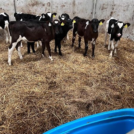 Lacken Farmyard Kilmihil Экстерьер фото