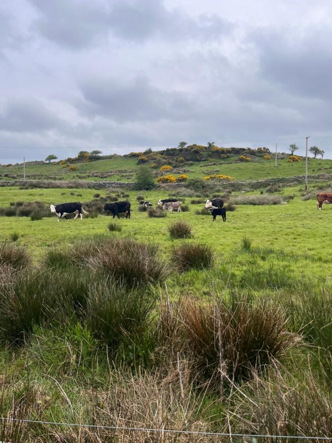 Lacken Farmyard Kilmihil Экстерьер фото