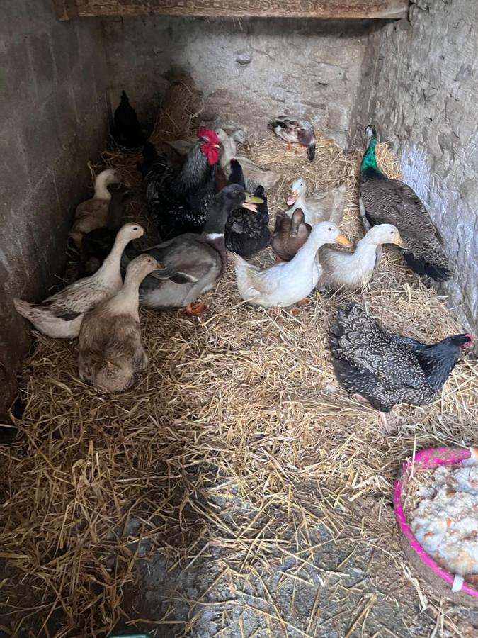 Lacken Farmyard Kilmihil Экстерьер фото